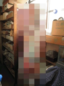 ここでまさかのキンニク登場!